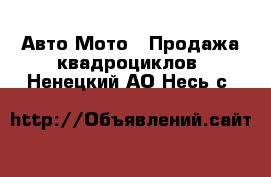 Авто Мото - Продажа квадроциклов. Ненецкий АО,Несь с.